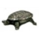 Pewter turtle box